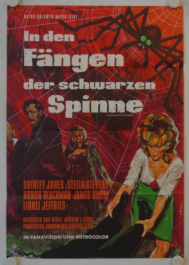 The Secret of My Success original release german movie poster